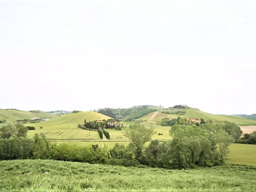 Immagine 31 di Casa colonica in vendita  a Certaldo