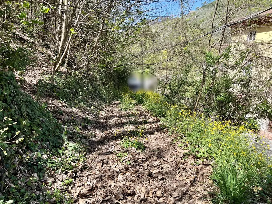 Immagine 33 di Porzione di casa in vendita  a Capannori