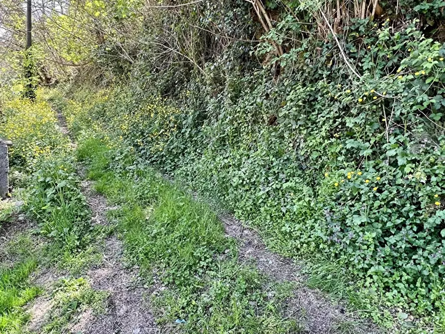 Immagine 30 di Porzione di casa in vendita  a Capannori