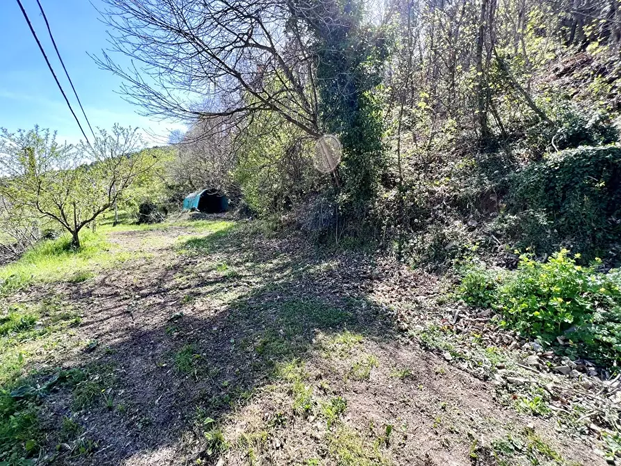 Immagine 31 di Porzione di casa in vendita  a Capannori