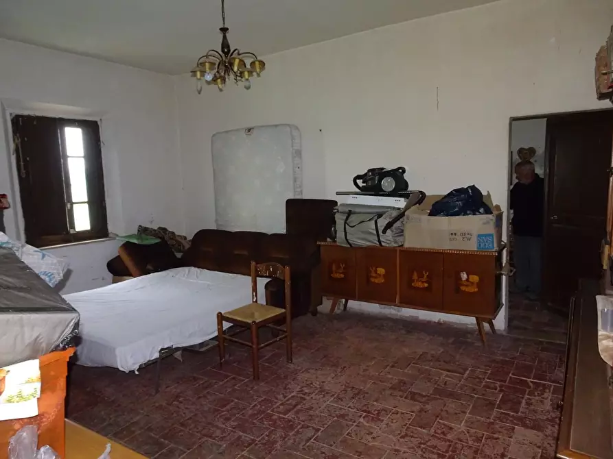 Immagine 13 di Porzione di casa in vendita  a Palaia