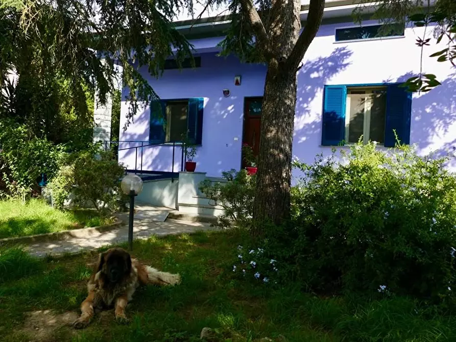 Immagine 6 di Villa in vendita  a Cascina