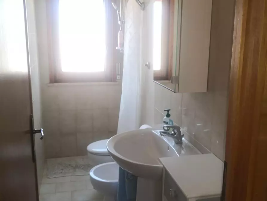 Immagine 15 di Appartamento in affitto  a Rosignano Marittimo