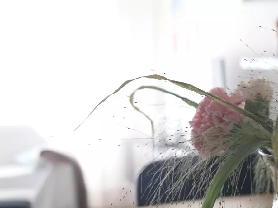 Immagine 22 di Villetta a schiera in vendita  a Santa Croce Sull'arno