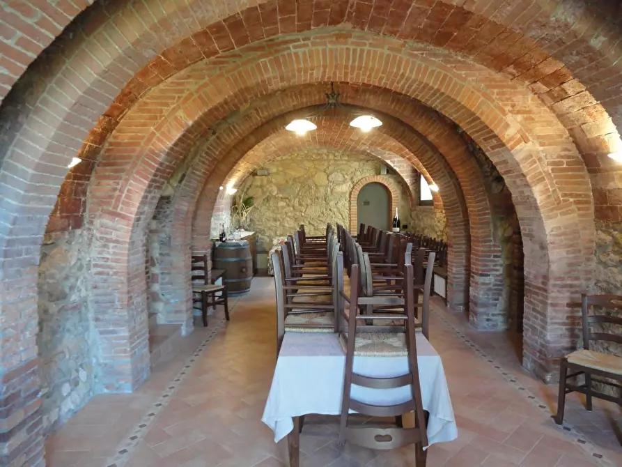Immagine 17 di Casa colonica in vendita  a Casciana Terme Lari
