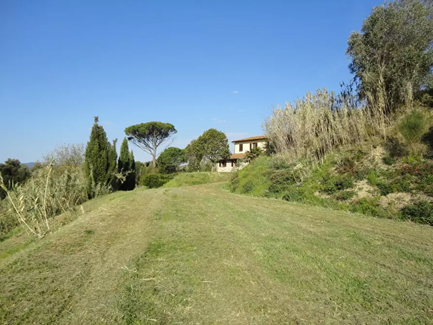 Immagine 4 di Casa colonica in vendita  a Casciana Terme Lari