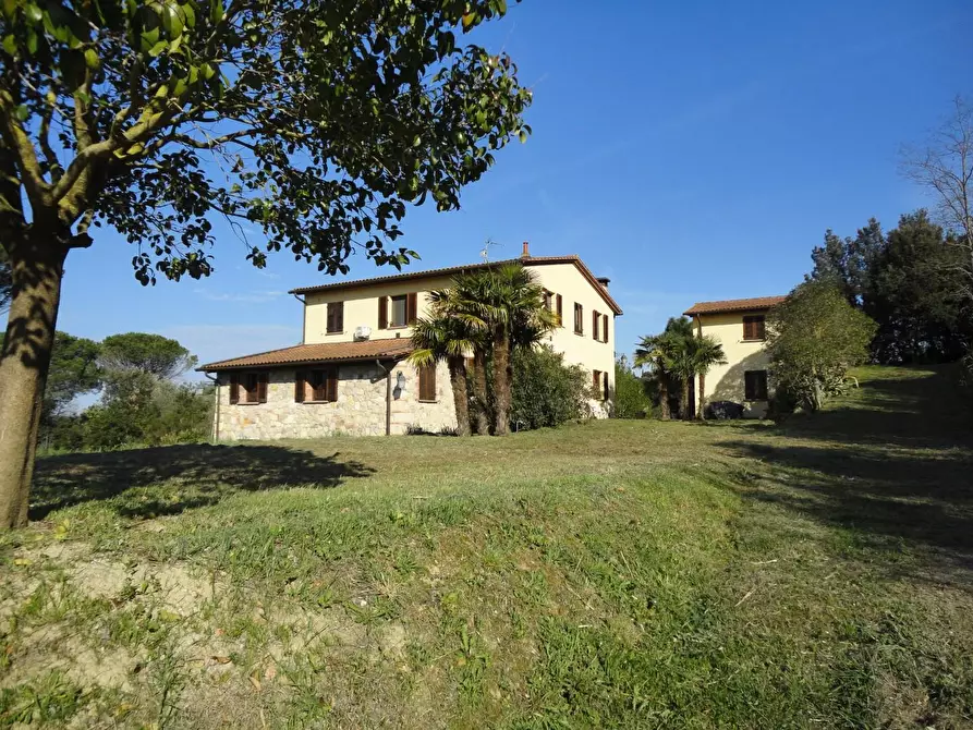 Immagine 2 di Casa colonica in vendita  a Casciana Terme Lari