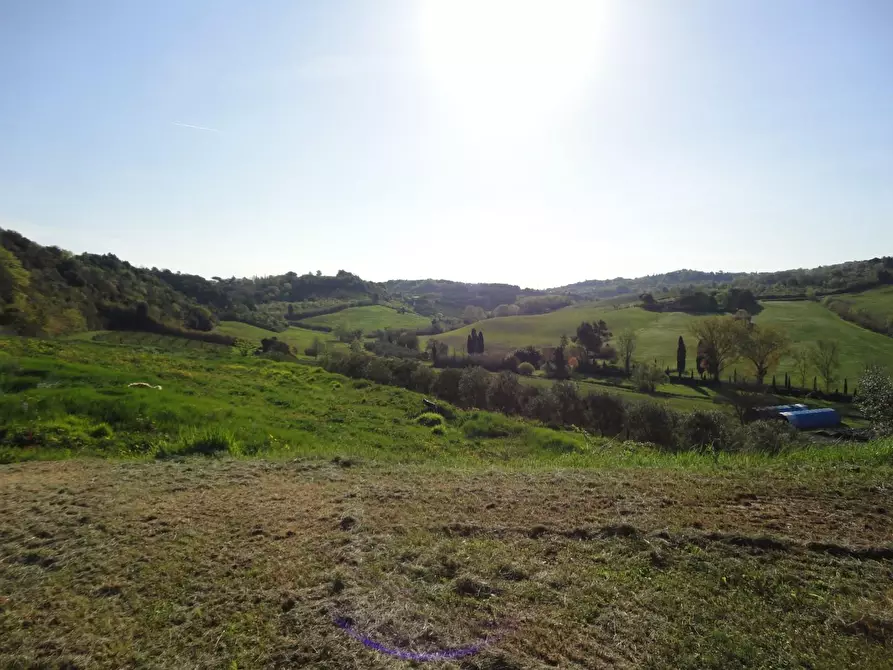 Immagine 3 di Casa colonica in vendita  a Casciana Terme Lari