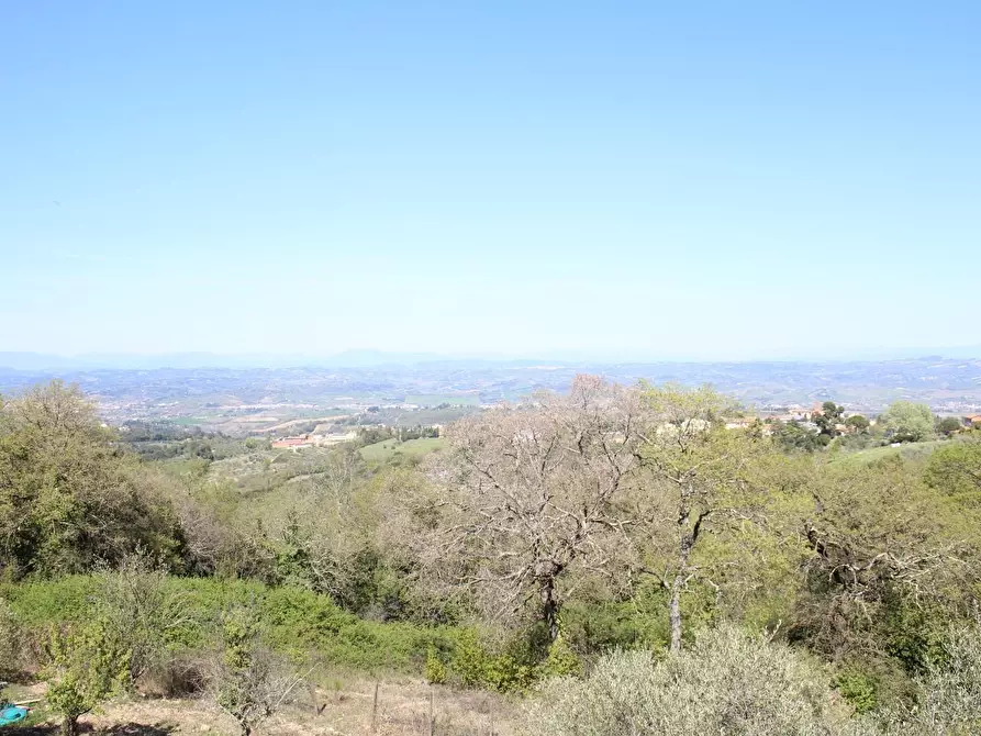 Immagine 14 di Deposito in vendita  a Gambassi Terme