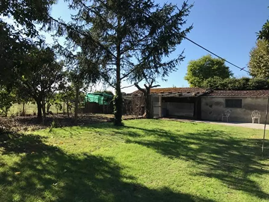 Immagine 16 di Villa in vendita  a Cascina