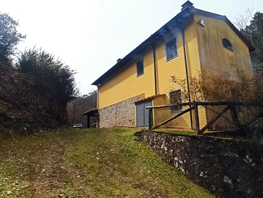 Immagine 5 di Rustico / casale in vendita  a Camaiore