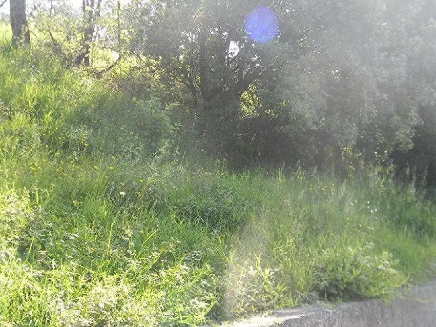 Immagine 23 di Casa indipendente in vendita  a Santo Stefano Di Magra