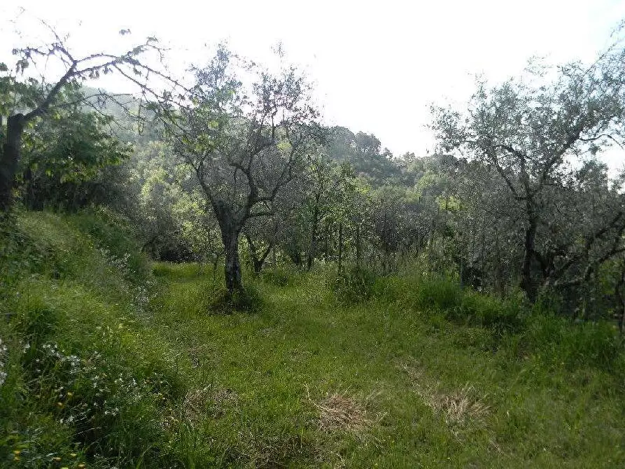 Immagine 21 di Casa indipendente in vendita  a Santo Stefano Di Magra