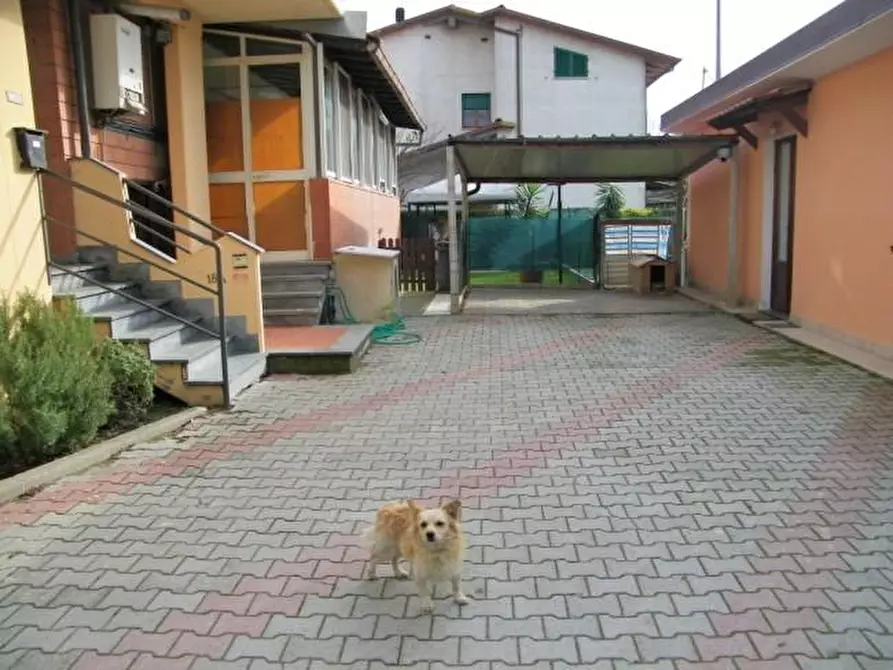 Immagine 16 di Casa trifamiliare in vendita  a Montignoso