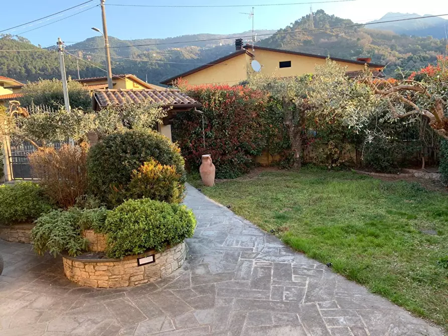 Immagine 3 di Casa bifamiliare in vendita  a Montignoso