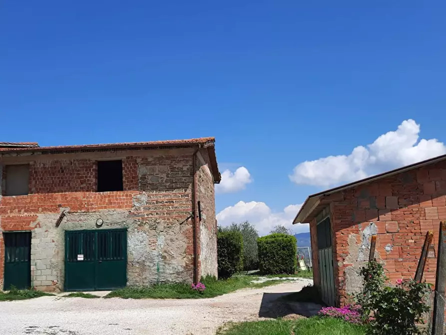 Immagine 1 di Terratetto in vendita  a Vinci