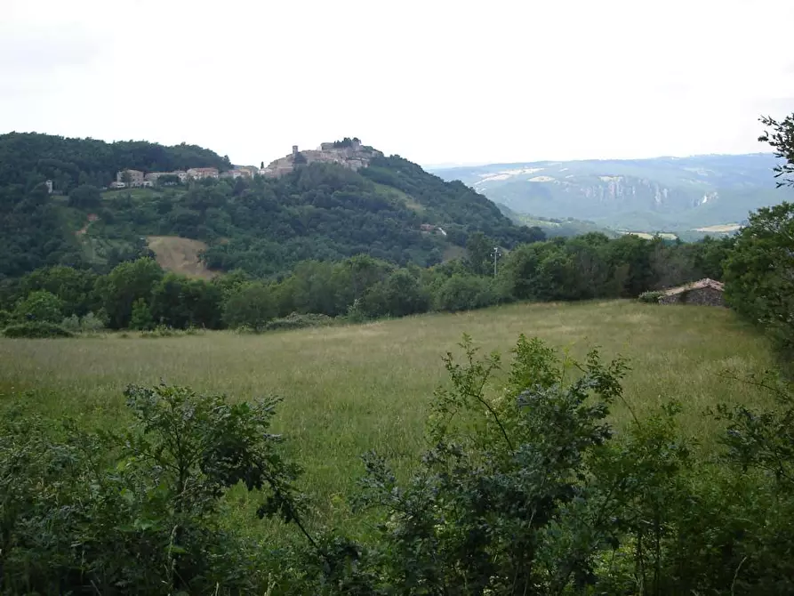 Immagine 4 di Casa indipendente in vendita  a Semproniano