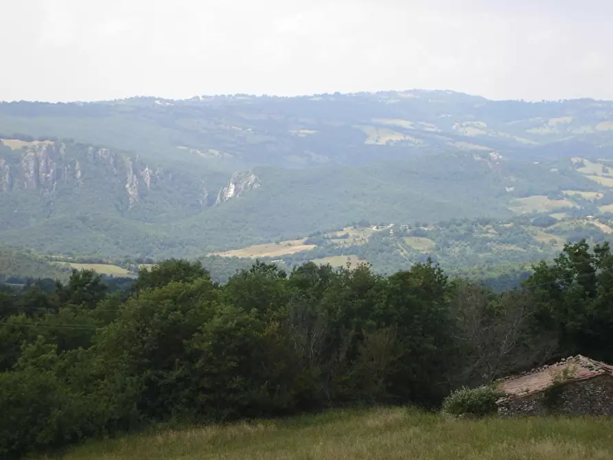 Immagine 6 di Casa indipendente in vendita  a Semproniano