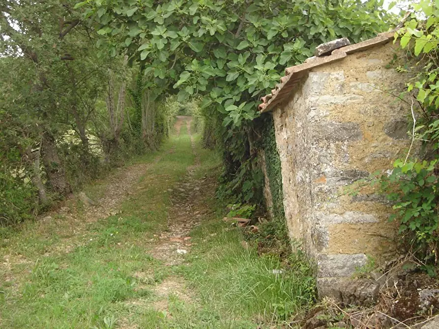 Immagine 2 di Casa indipendente in vendita  a Semproniano