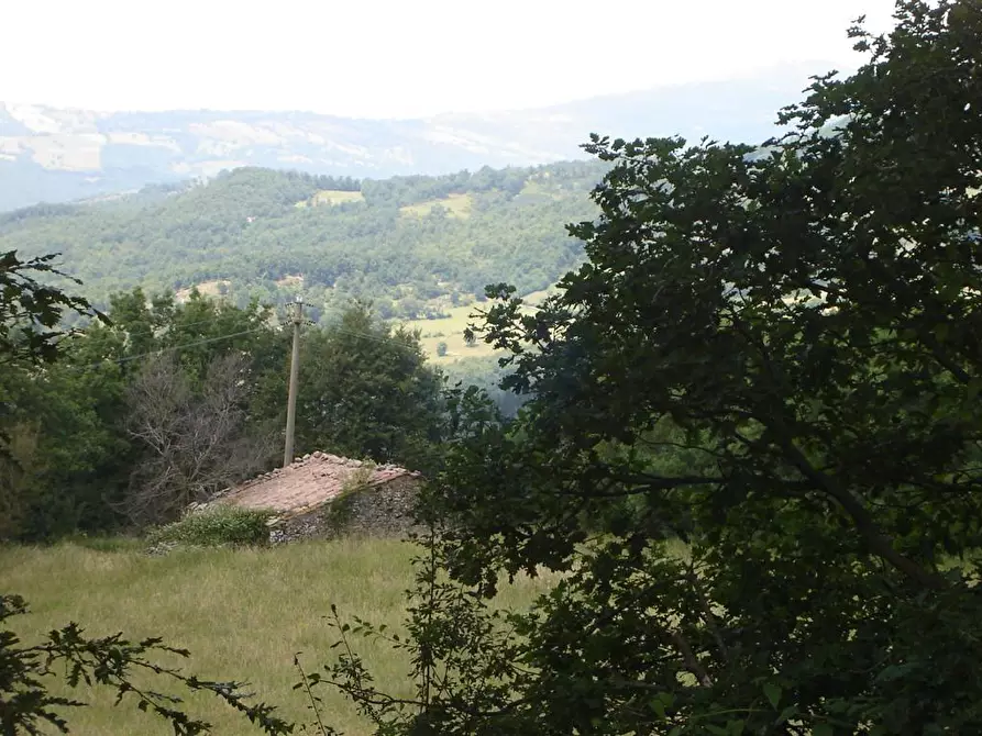 Immagine 3 di Casa indipendente in vendita  a Semproniano