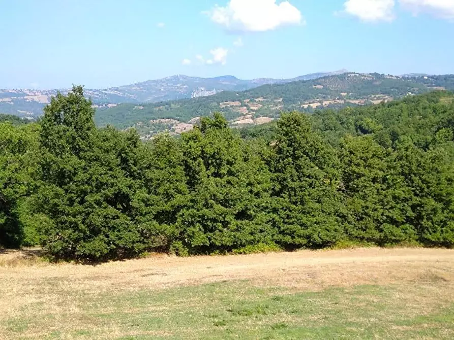 Immagine 2 di Porzione di casa in vendita  a Semproniano