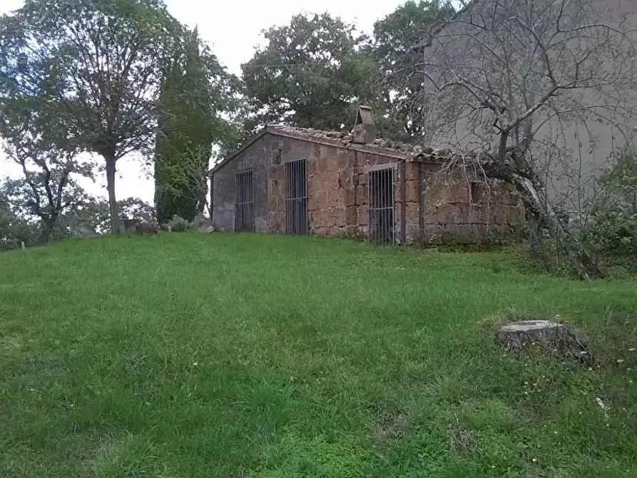 Immagine 3 di Villa in vendita  a Semproniano