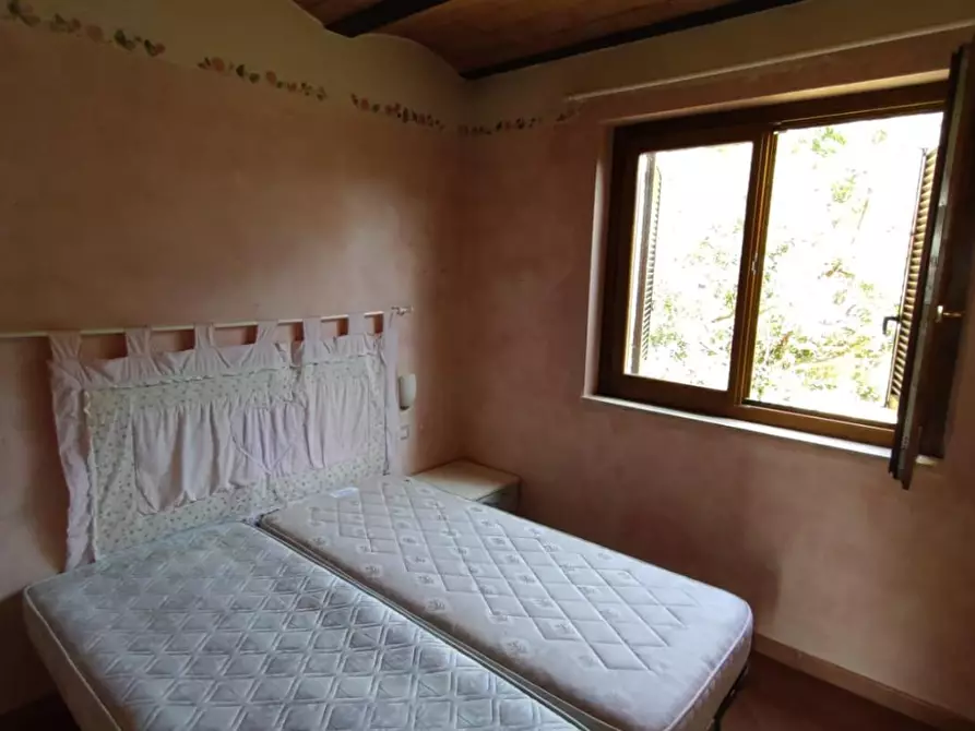 Immagine 4 di Appartamento in vendita  a Manciano