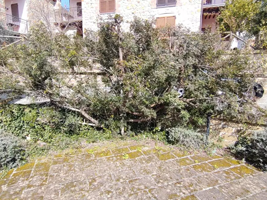 Immagine 5 di Appartamento in vendita  a Manciano