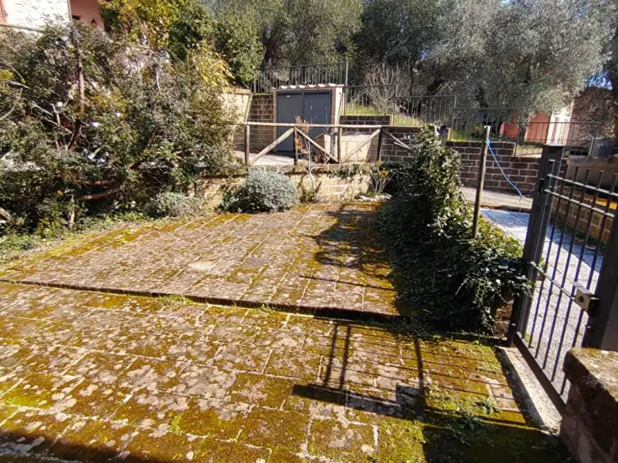 Immagine 6 di Appartamento in vendita  a Manciano