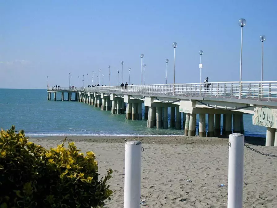 Immagine 13 di Appartamento in vendita  a Massa