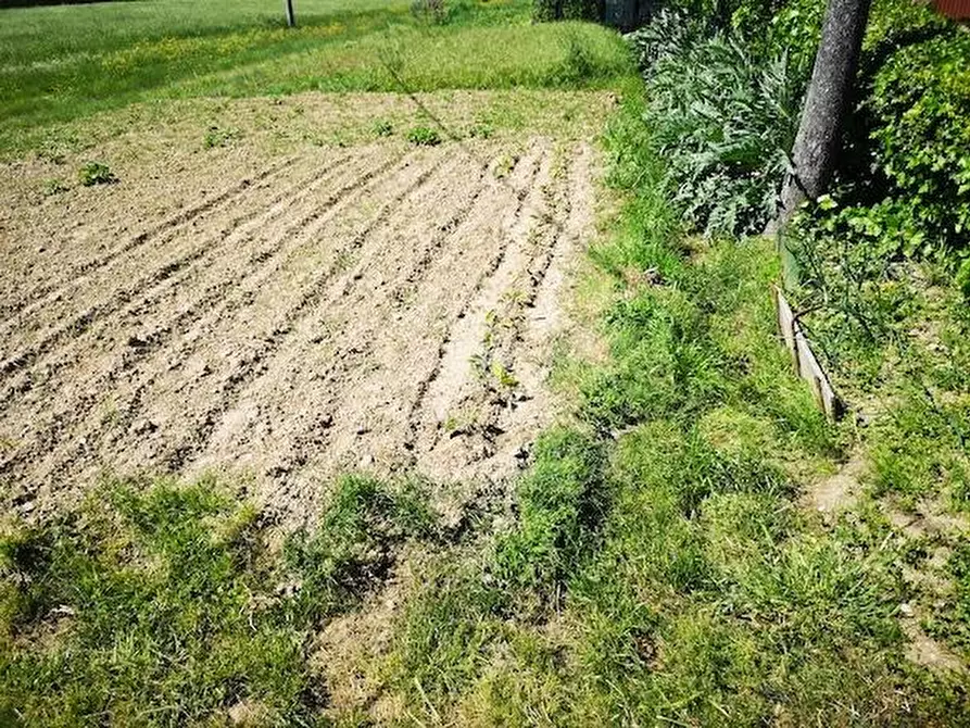 Immagine 11 di Terratetto in vendita  a Castelfranco Di Sotto