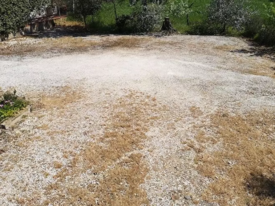 Immagine 10 di Terratetto in vendita  a Castelfranco Di Sotto