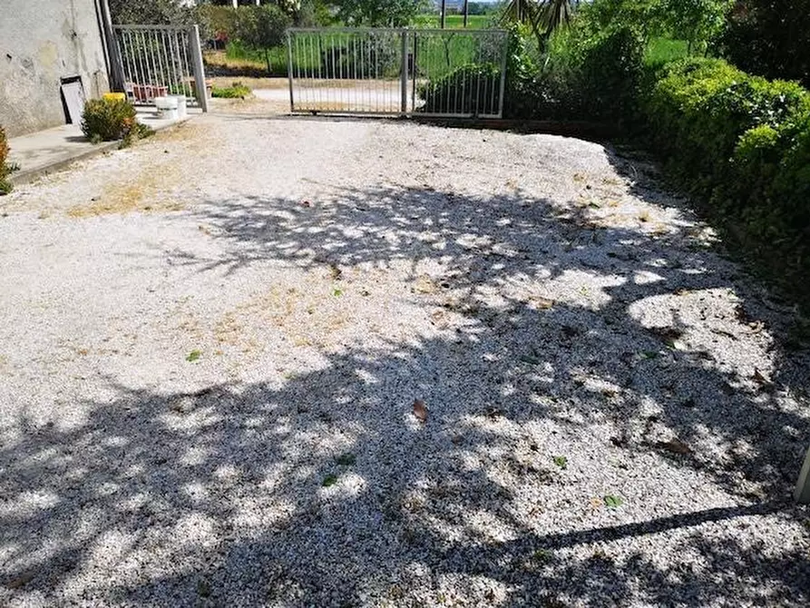 Immagine 9 di Terratetto in vendita  a Castelfranco Di Sotto