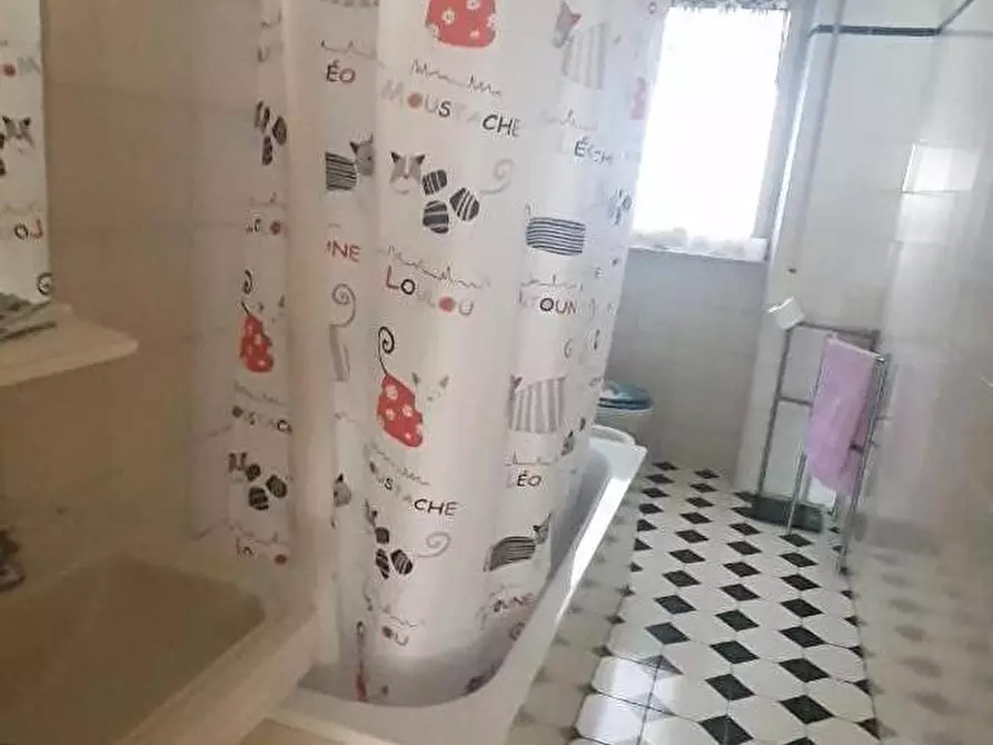 Immagine 3 di Appartamento in affitto  a Pisa