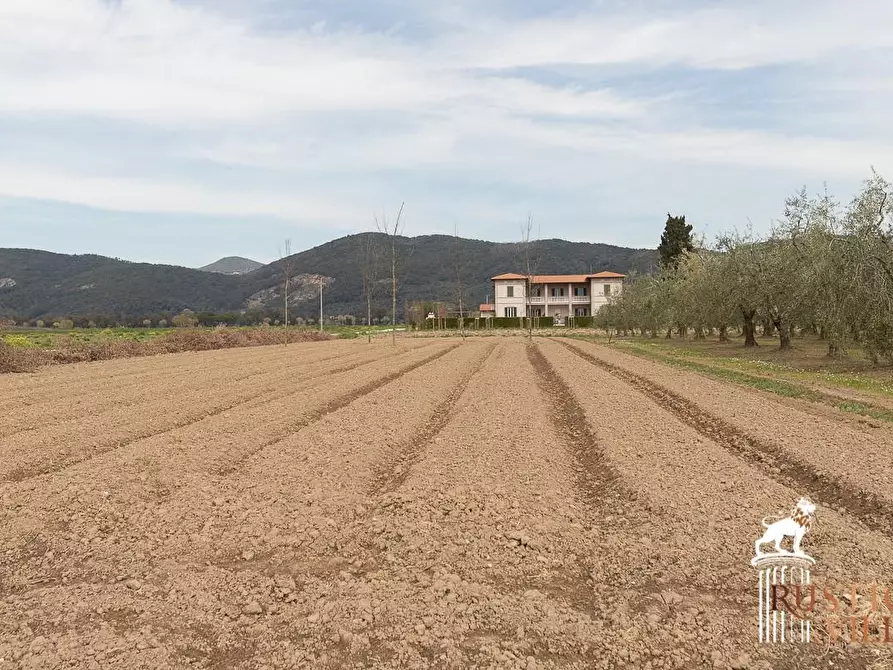 Immagine 38 di Villa in vendita  a Pisa