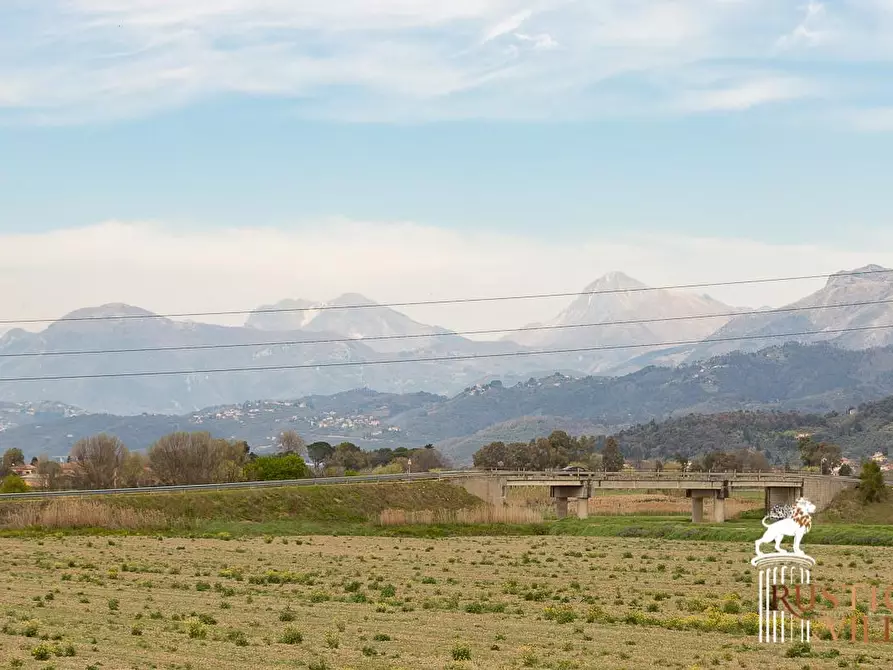 Immagine 39 di Villa in vendita  a Pisa