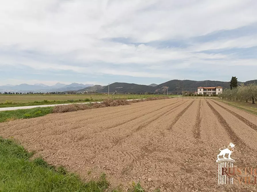 Immagine 37 di Villa in vendita  a Pisa