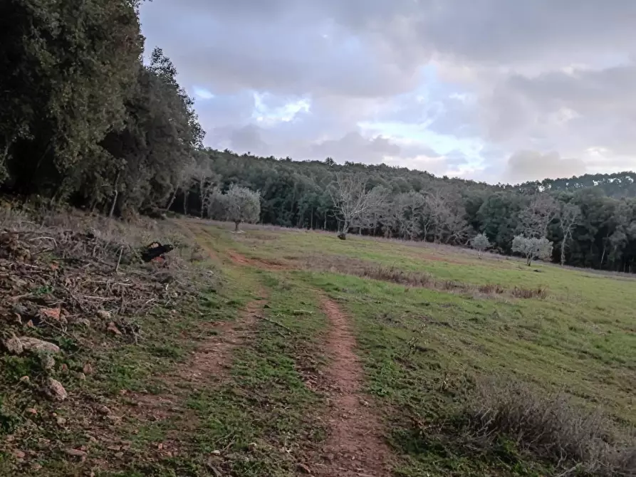 Immagine 4 di Rustico / casale in vendita  a Colle Di Val D'elsa