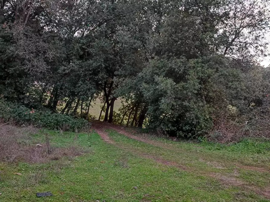 Immagine 5 di Rustico / casale in vendita  a Colle Di Val D'elsa