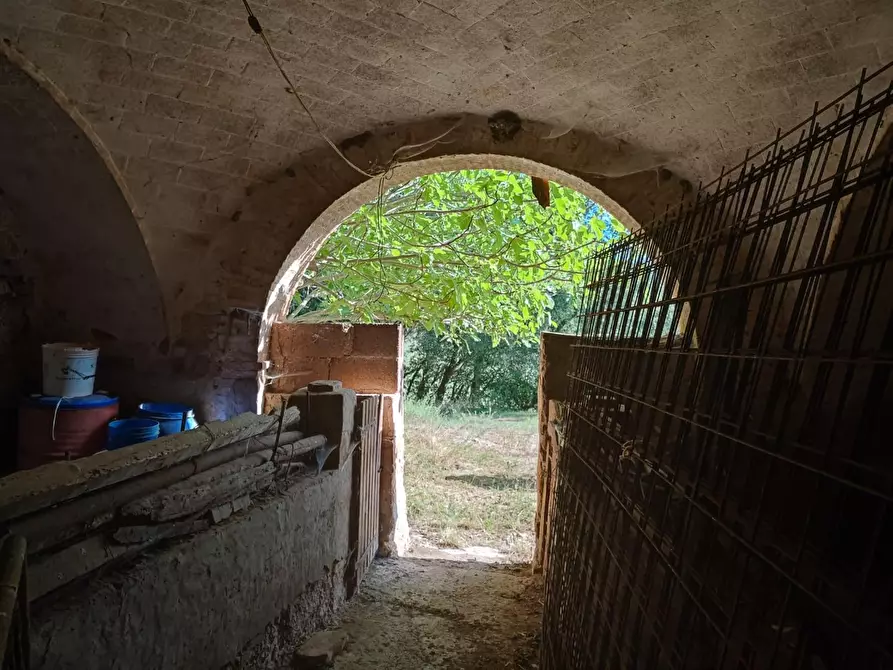 Immagine 12 di Rustico / casale in vendita  a Colle Di Val D'elsa