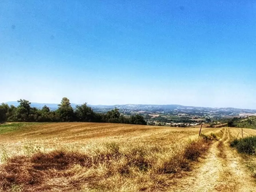 Immagine 5 di Casa indipendente in vendita  a Castelfiorentino