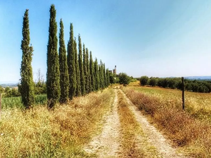 Immagine 8 di Casa indipendente in vendita  a Castelfiorentino