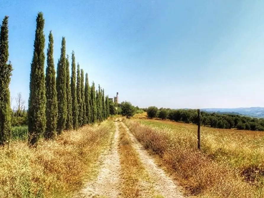 Immagine 6 di Casa indipendente in vendita  a Castelfiorentino