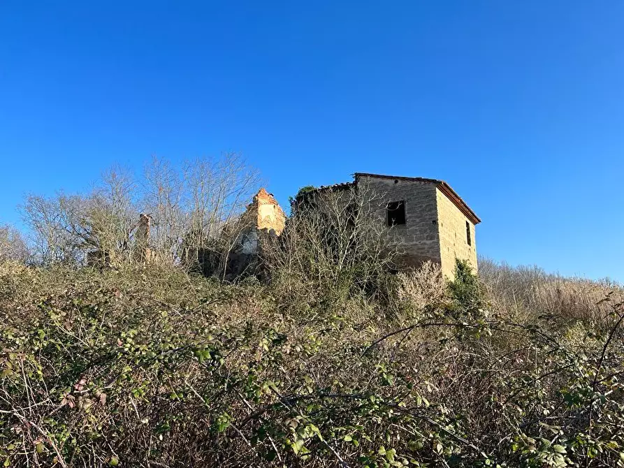 Immagine 1 di Casa colonica in vendita  a Pontedera