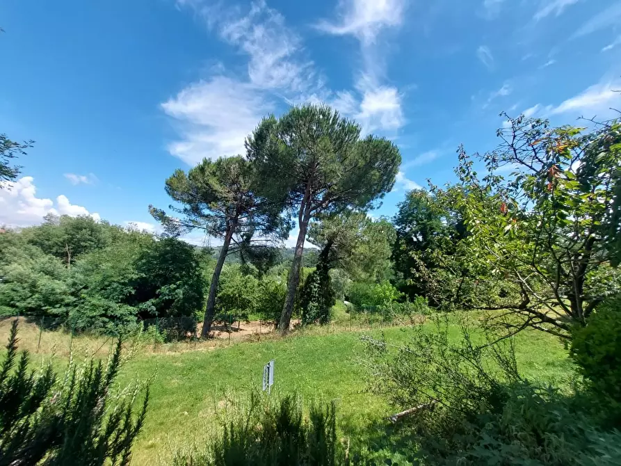 Immagine 35 di Appartamento in vendita  a Montopoli In Val D'arno