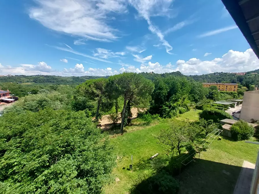 Immagine 31 di Appartamento in vendita  a Montopoli In Val D'arno