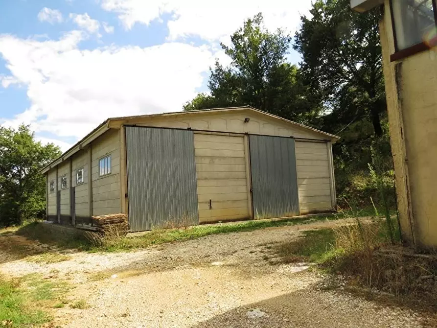 Immagine 6 di Casa colonica in vendita  a Semproniano