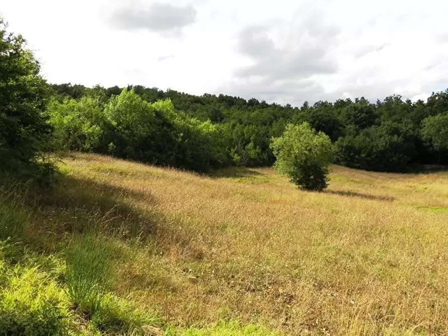 Immagine 10 di Casa colonica in vendita  a Semproniano