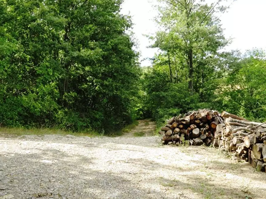 Immagine 11 di Casa colonica in vendita  a Semproniano