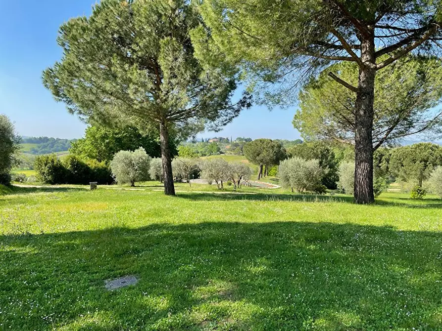 Immagine 7 di Casa colonica in vendita  a Siena